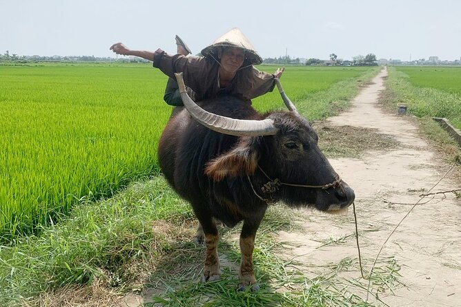 3 Hours Hoi An Countryside Bicycle Tour - Price and timing: about $35.61 for a 3-hour countryside loop