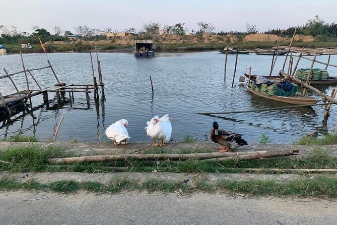 3 Hours Motorbike Tour in Hoi An Countryside. - Automatic scooter and helmet: comfort and safety basics