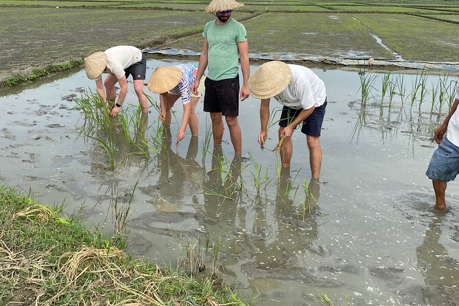 5-Hour Discovery Countryside by Cycling, Buffalo and Basket Boat - The bamboo basket boat row on the water palm paradise