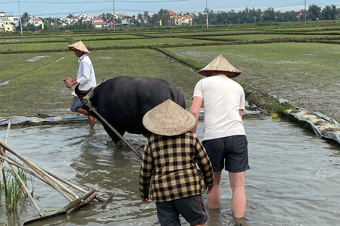 5-Hour Discovery Countryside by Cycling, Buffalo and Basket Boat - Price and time: why $10 feels like strong value for 4 hours