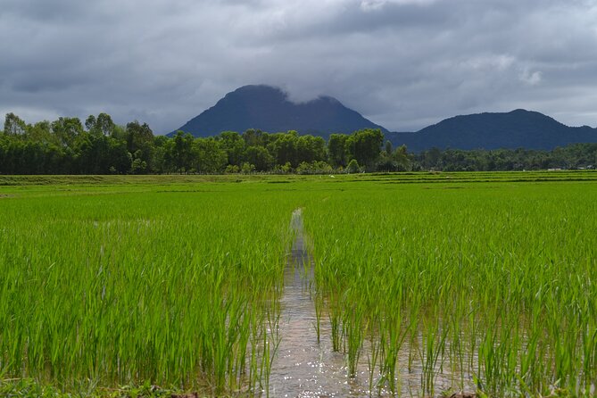 Adventure Bike Tour from Hoi An - Guides matter: Thai, Tram, and Hang as a big part of the experience