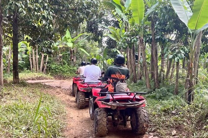 ATV Quad Bike Adventure from Hoi An or Danang - Leaving Hoi An the right way: from hotel to an organic farm start