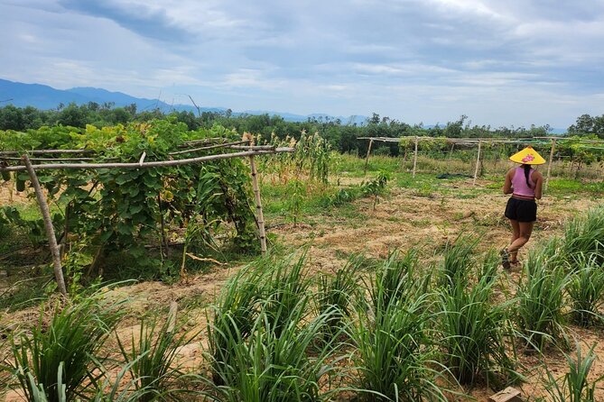 ATV Quad Bike Hoi An Adventure & BBQ Feast - From Hội An Post Office to My Son Valley roads, the day’s rhythm