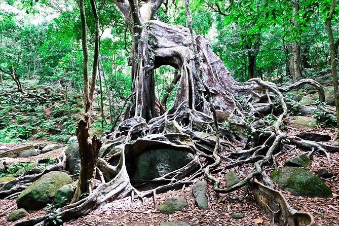 Ba Na Hill/Golden Bridge/Dragon Bridge Customize Tour by Private - Linh Ung Pagoda and the quieter side of Ba Na Hills