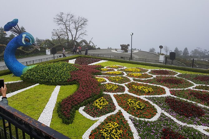 Ba Na Hills and Golden Bridge Private Tour - Flower garden stroll: color therapy with mountain backdrops