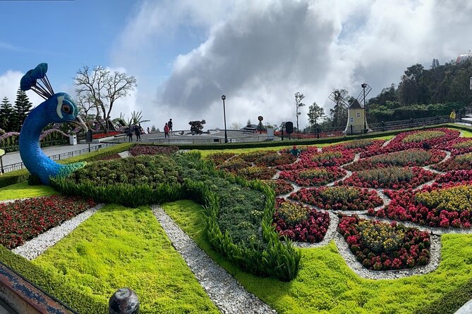 Ba Na Hills & Golden Bridge Tour from Da Nang - The ride up: Ba Na Hills cable cars and what to expect