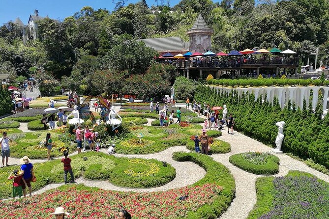 Ba Na Hills - Golden Hand Bridge Full Day Tour - Transfers, local English guide, and one real caution from feedback