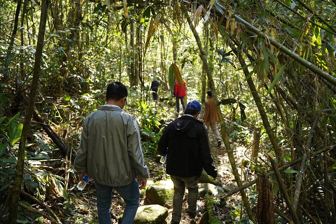 Bach Ma National Park trekking daily tour from Da Nang, Hoi An - Do Quyen Waterfall and the reality of the five-lake trail