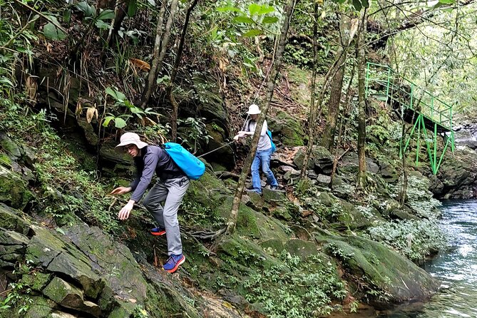 Bach Ma National Park trekking daily tour from Da Nang, Hoi An - Price and value at $69: what you pay for, and what you get back
