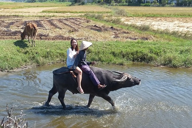 Buffalo riding and Basket Boat Half Day Tour - Buffalo riding: photo moment, balance lesson, and docile animals