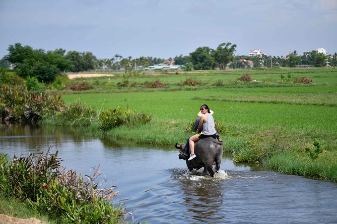 Buffalo Riding and basket boat tour from Da Nang/ Hoi An - Why This Buffalo and Basket Boat Tour Works for Da Nang and Hoi An