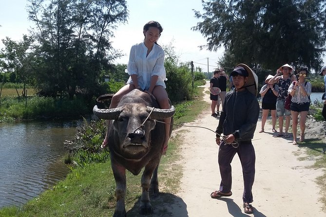 Buffalo Riding and basket boat tour from Da Nang/ Hoi An - Buffalo Riding: The Main Moment, Done Safely and Fast