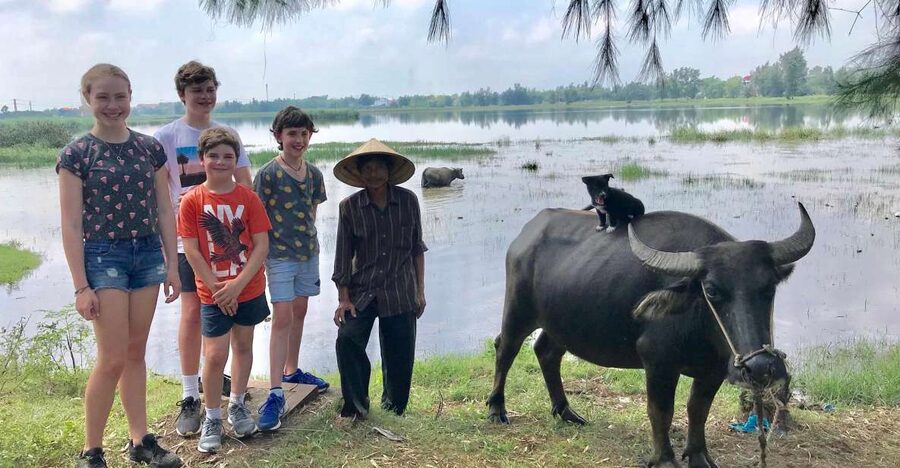 Buffalo Riding, Basket Boat and Cooking Class: Hoian/Da Nang - From pickup to rice fields, the day is built for food lovers