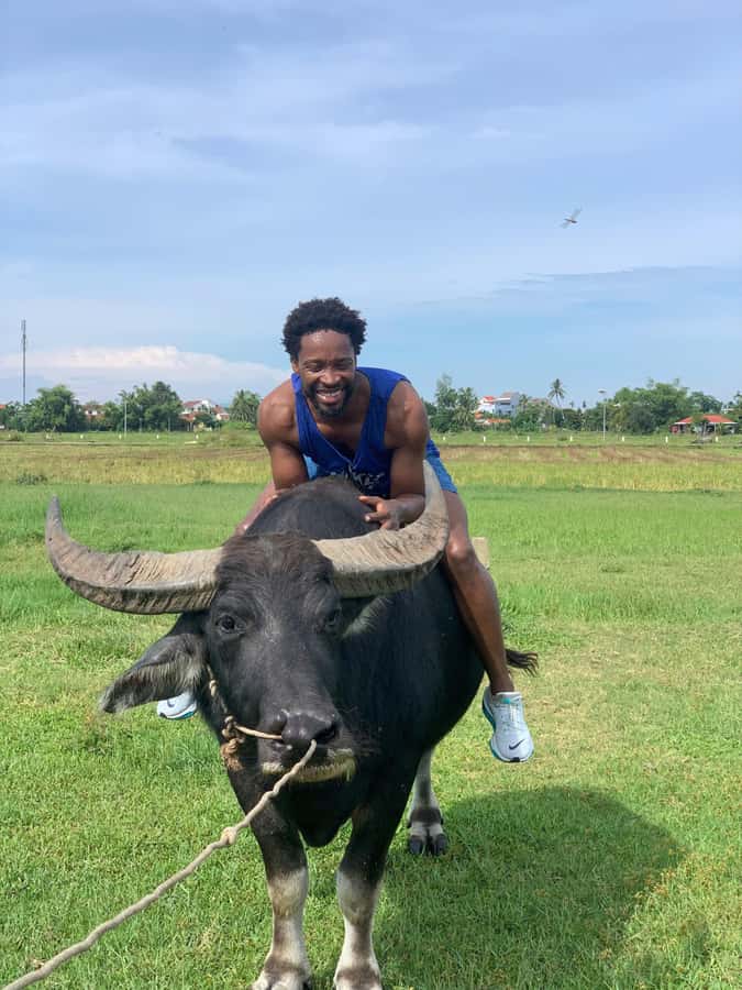 BUFFALO RIDING -BASKET BOAT & BIKE TOUR-HOI AN - Buffalo riding: feeding grass and getting those unforgettable photos