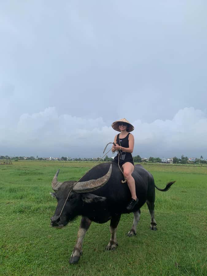 BUFFALO RIDING -BASKET BOAT & BIKE TOUR-HOI AN - Price and value: is $29 really fair?