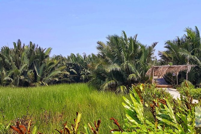 Buffalo Riding, Basket Boat Tour And Cooking Class - Cooking Class at Lilly’s Husband School, Four Dishes You Make and Eat