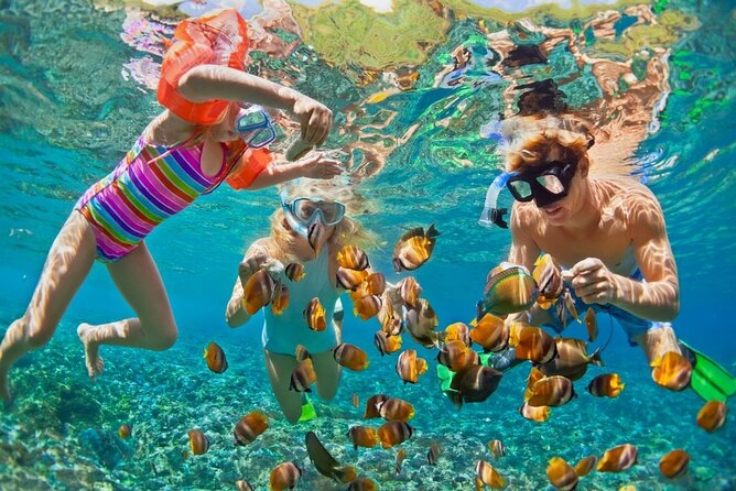 Cham Island Daily-Snorkeling(Optional:Pick up at Cua Dai Port) - Key Things to Know Before You Go