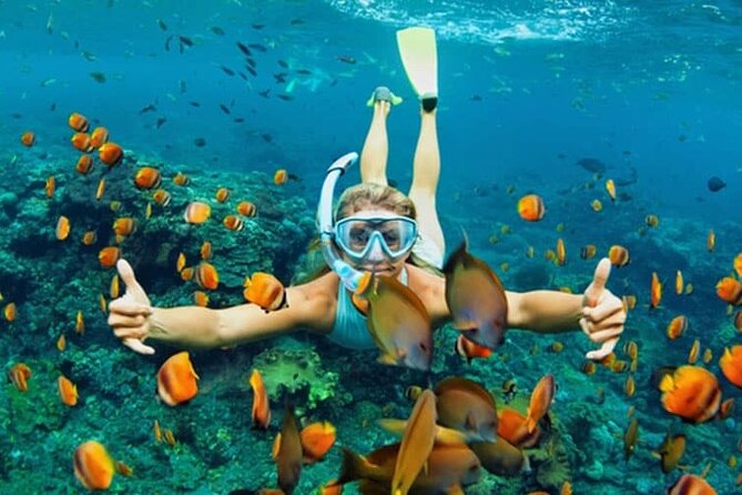 Cham Island Daily-Snorkeling(Optional:Pick up at Cua Dai Port) - Why Cham Island Feels Worth the Half Day