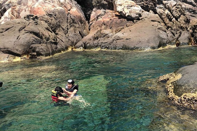 Cham Island Day Tour & Snorkeling from Hoi An with Group tour - Price and logistics: is $35 good value?