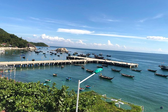 Cham Island Day Tour & Snorkeling from Hoi An with Group tour - Who this day tour suits best in Hoi An