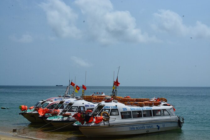 Cham Island Day Tour: Speed Boat, Lunch, Snorkeling & Beach - Snorkeling with sea creatures and a practical safety rhythm
