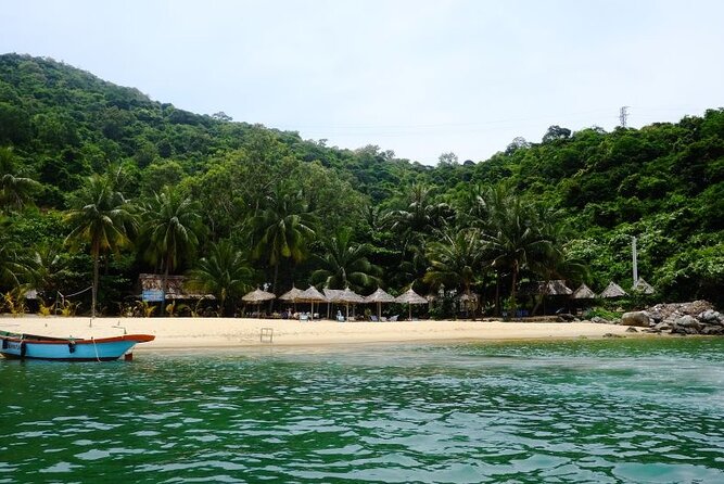 Cham Island Exploration Tour and Swimming with Local Guide - Who this tour fits best (and who should rethink it)
