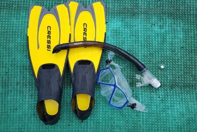Cham Island Exploration Tour and Swimming with Local Guide - Hon Nhon Beach and UNESCO waters: what snorkeling is like in practice