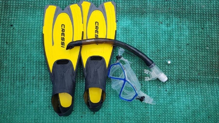 Cham Island: Snorkeling Tour - Practical tips for a smoother day on the water