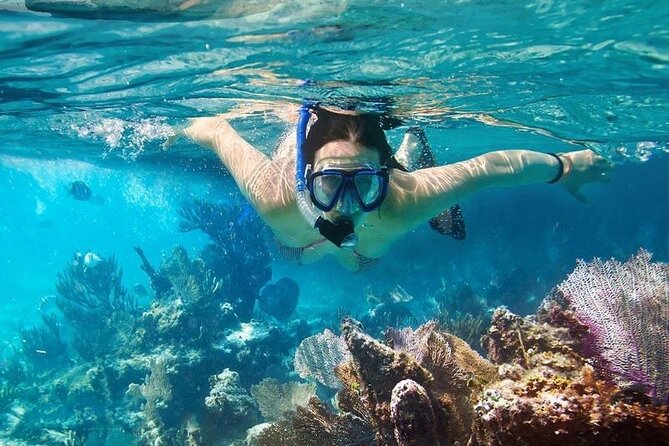 Cham Island Tour Snorkeling -Sunbathing - Nice Beach - Speedboat - Key points before you go
