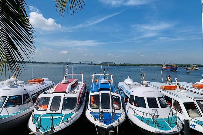Cham Island Trip by Speed Boat including Snorkeling from Hoi An or Da Nang - Key things you should know before you go