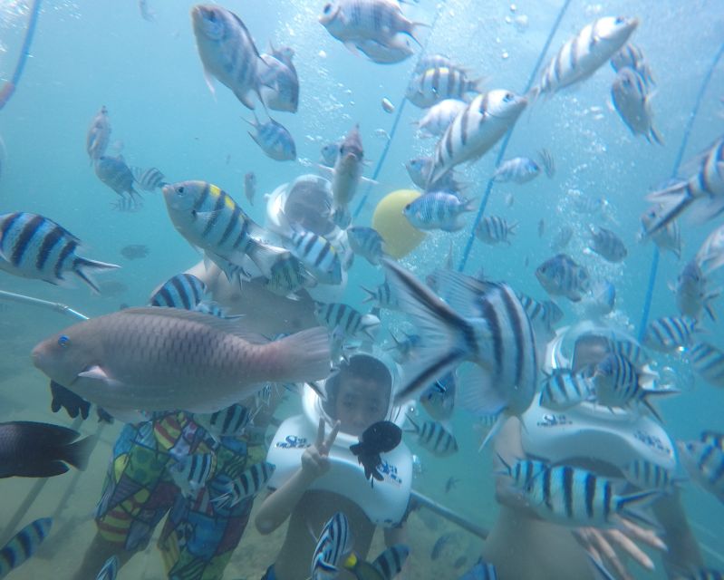 Cham Island: Underwater Walking & Snorkeling Tour - Cham Island: Why Underwater Walking Feels Different Than Snorkeling