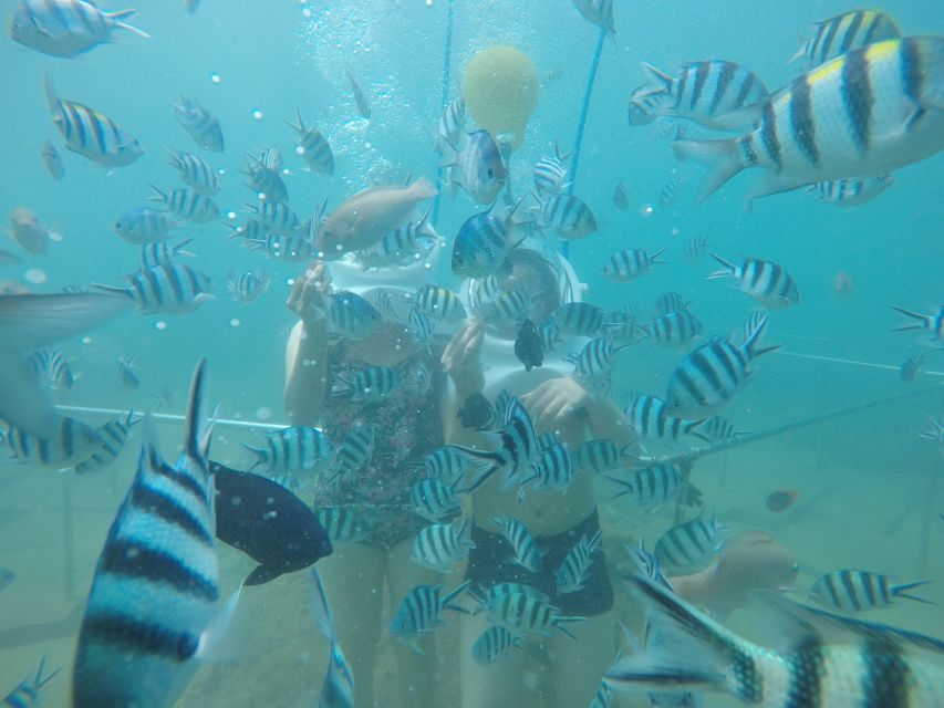 Cham Island: Underwater Walking & Snorkeling Tour - Snorkel First, Then Rotate: How the Day Flows