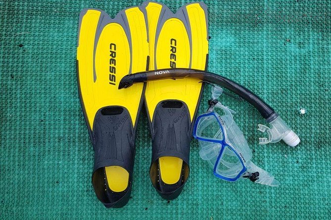 Cham Islands Snorkeling Tour by SpeedBoat from Da Nang - Cu Lao Cham Marine Park, and why the Cham Islands are worth your time