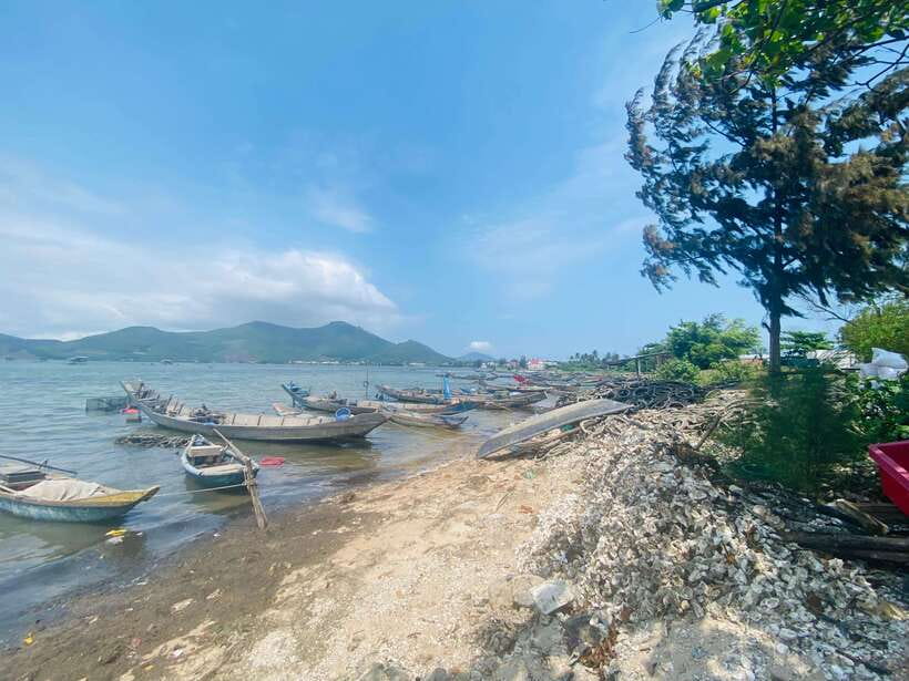 Chan May port : Private Trip to Hoi An Ancient Town - Choosing your pacing: private day tours work best with a plan