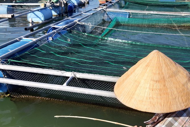 Coconut Basket Boat Trip - A Must - Do Experience in Hoi An! - Price and value at about $6 per person