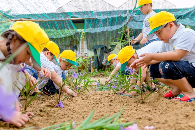 Cooking Class Hoi An - Organic Garden - Farming Tour-Handicrafts - Cooking the meal: 3 to 4 local dishes with real guidance