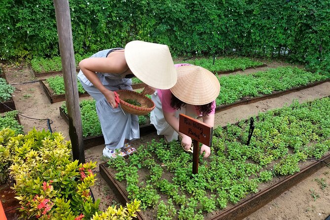 Cooking Class Hoi An - Organic Garden - Farming Tour-Handicrafts - Timing, meeting point, and getting there without stress