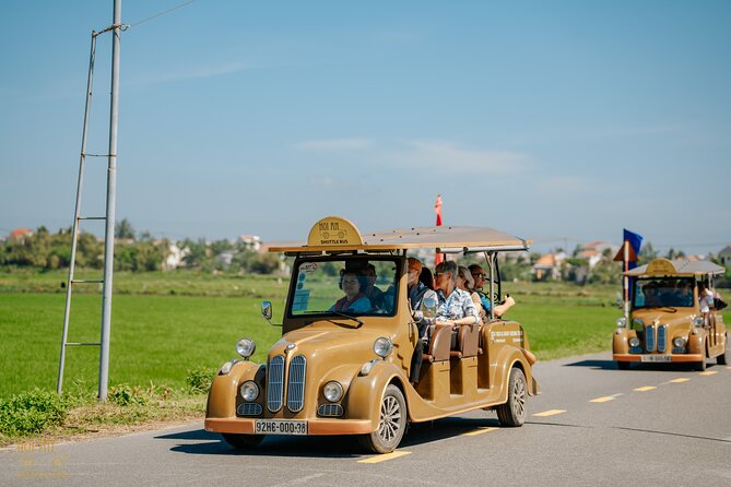 Countryside Adventure Private Tour by Electric Car - Rice Field View Drive, Cows, and Bird Spotting