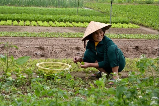 Countryside and Villages Tour By Motorbike - Tra Que Vegetable Village: herbs and greens that explain local flavors