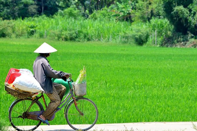 Countryside Bicycle Tour from Hoi An - All Inclusive - Rolling out to rice fields, coconut villages, and the Thu Bon River