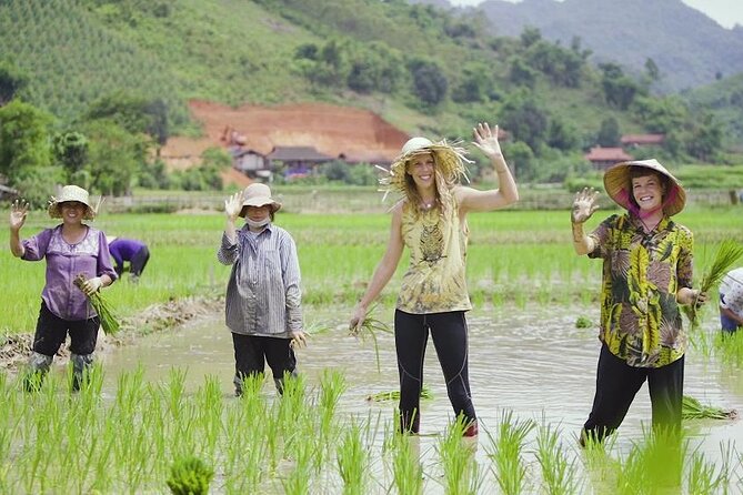 Countryside Bicycle Tour from Hoi An - All Inclusive - First stop: Hoi An Ancient Town trades, boat builders, and mother of pearl