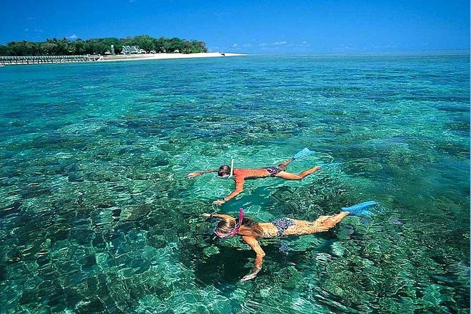 Cu Lao Cham Island Tour from Da Nang/ Hoi An - Getting To Cu Lao Cham Quickly: Da Nang Pickup and the Speedboat Rhythm