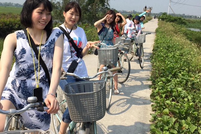 Cycling, Buffalo, Basket Boat ride in Hoi An - Ploughing and planting baby rice: the hands-on part