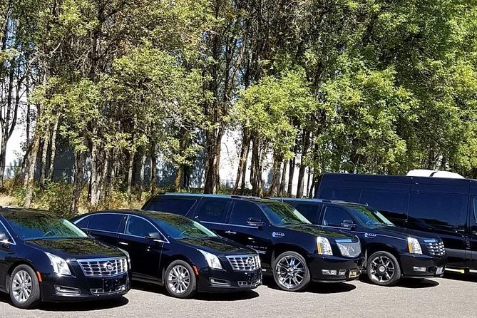 Da Nang Airport Arrival Or Departure By Private Transfers - Luxury-Class Minivan Comfort, Plus Real Luggage Rules