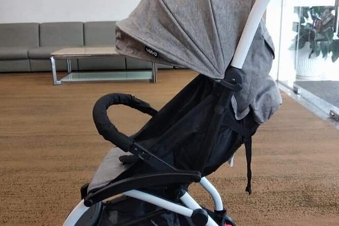Da Nang Baby Stroller/Safety Car Seating or Wheel Chair Rental - Should you book this stroller, safety seat, or wheelchair rental?