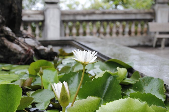 Da Nang Discovery With Cool Locals - Linh Ung Pagoda: Winding Trails and Big-City Views