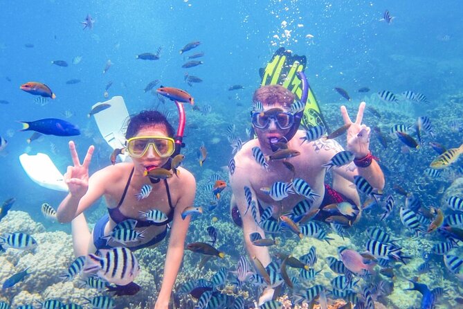 Da Nang/Hoi An: Cham Island Snorkeling, Sunbathing, Nice Beaches - Speed boat to Cham Island: Lang Beach by late morning