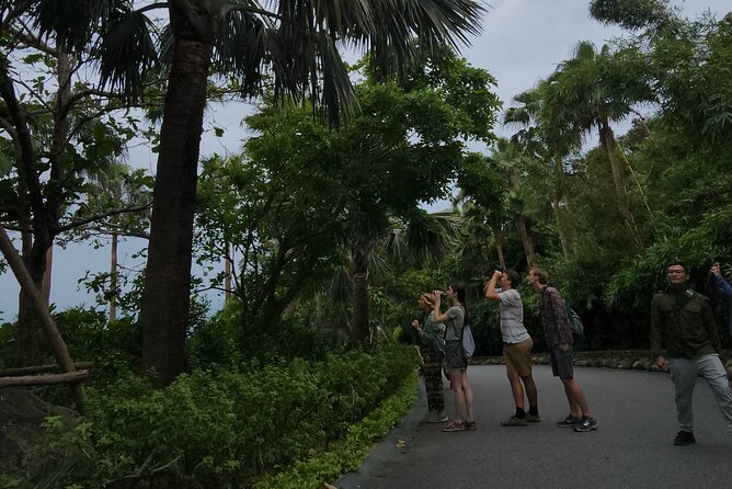 Endangered Monkeys Watching - Red Shanked Douc Langurs - Should you book the red-shanked douc langur tour?