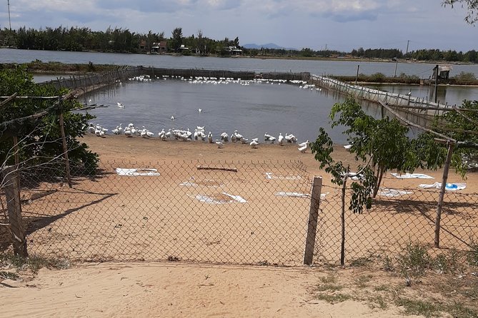 Explore Hoi An Village Island - Pickup, timing, and what 4 to 5 hours really means