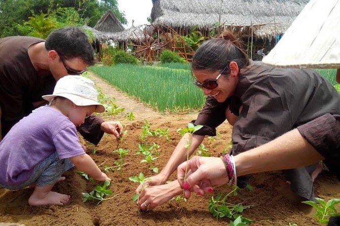 Farming with the Local Famers - The 3-hour flow in plain terms